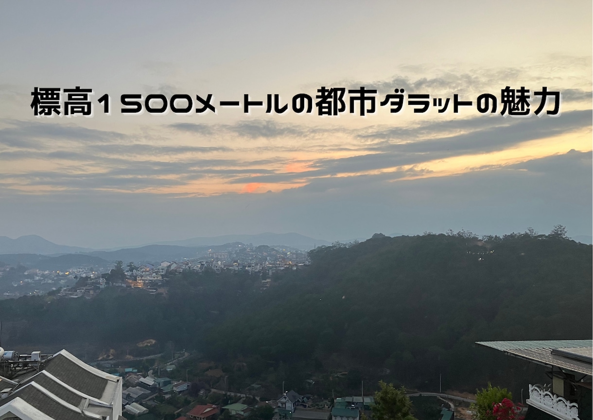 初心者、中級者向け、ベトナム語のレッスンを致します ベトナム語の発音、特に重要な声調のコツを教えます！ イメージ2