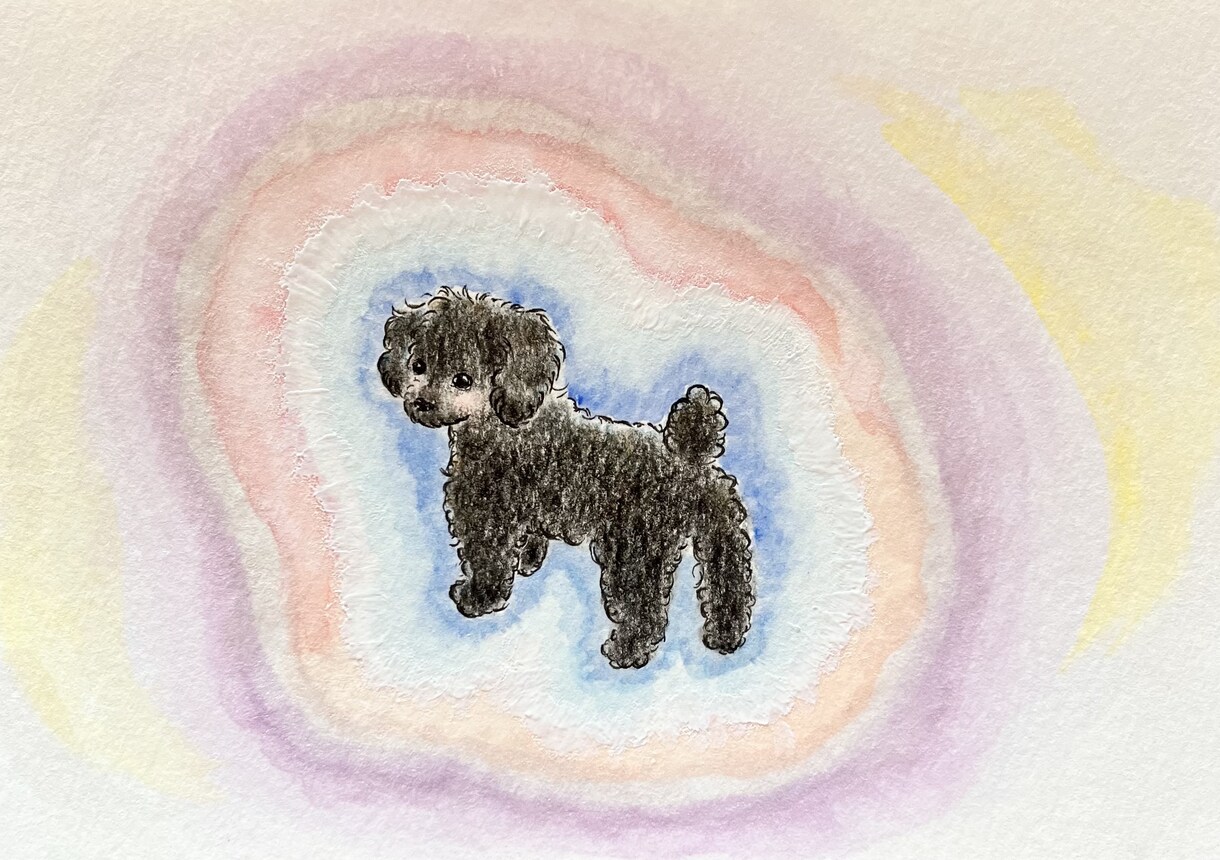 アニマルオーラリーディング　承ります 動物さんのオーラから現在の健康状態や使命を読み解きます イメージ2