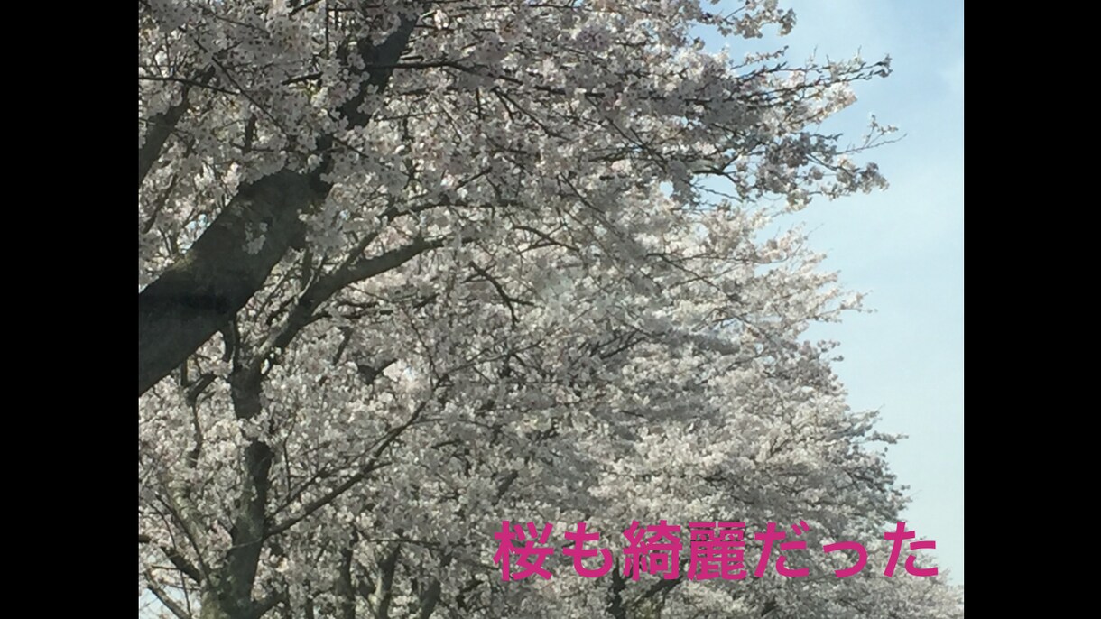 あなたの【大切な写真】を【ムービー加工】致します 携帯やスマホに写真が溜まってしまってまとめたい方にオススメ！ イメージ3