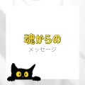 あなたの魂からのメッセージをお伝えします タロットで今必要なメッセージを読み解きます イメージ1