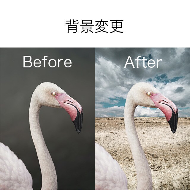 写真レタッチします 商品写真からSNSの投稿写真までなんでも承ります イメージ1