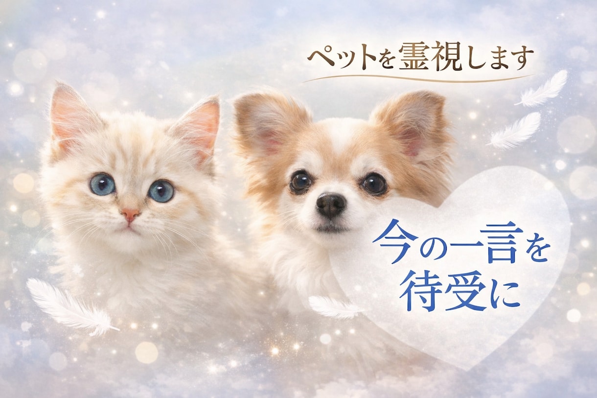 ペットの一言メッセージデジタルお守りを作成します ペットを霊視し必要な一言メッセージをスマホの待受画像でお届け イメージ1