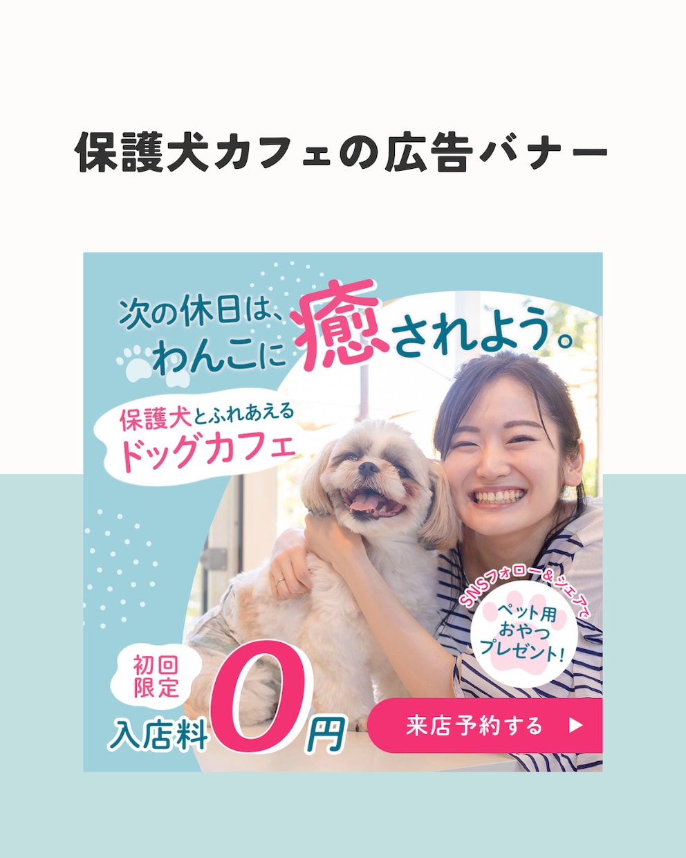 犬業界専門｜戦略設計で集客に強いHPを作ります 飼い主の「脳に刺さる」戦略的ホームページ制作 イメージ8