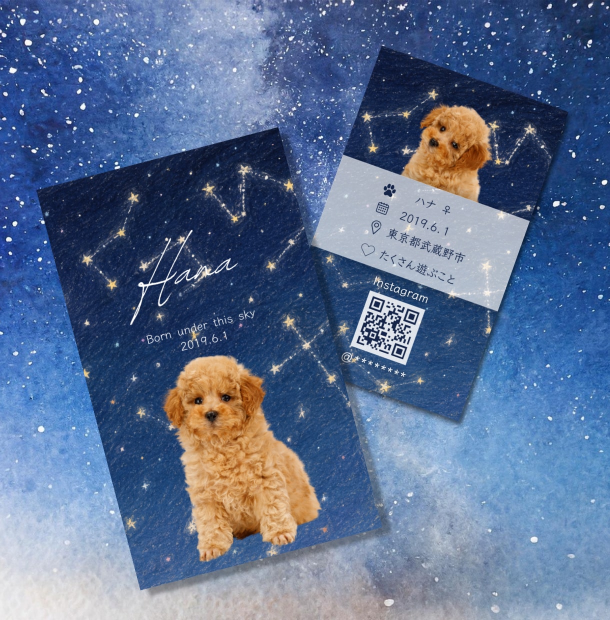 生まれた日の星空が名刺に、特別なペット名刺作ります スマホ写真OK！印刷代込100枚セミオーダーのペット名刺 イメージ1
