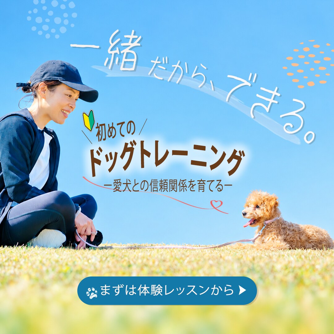 ペット専門！インスタ・SNS投稿画像制作します 動物病院やペットショップの集客に！目を惹くデザイン イメージ5