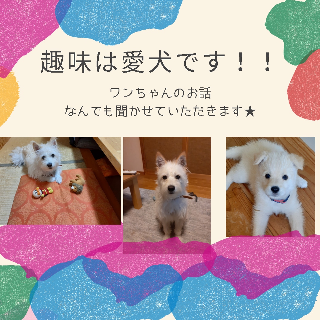ワンちゃんのお話なら何でも喜んで聞きます 趣味は愛犬♡ストレス解消法も愛犬☆彡な私が気軽にお聞きします イメージ1