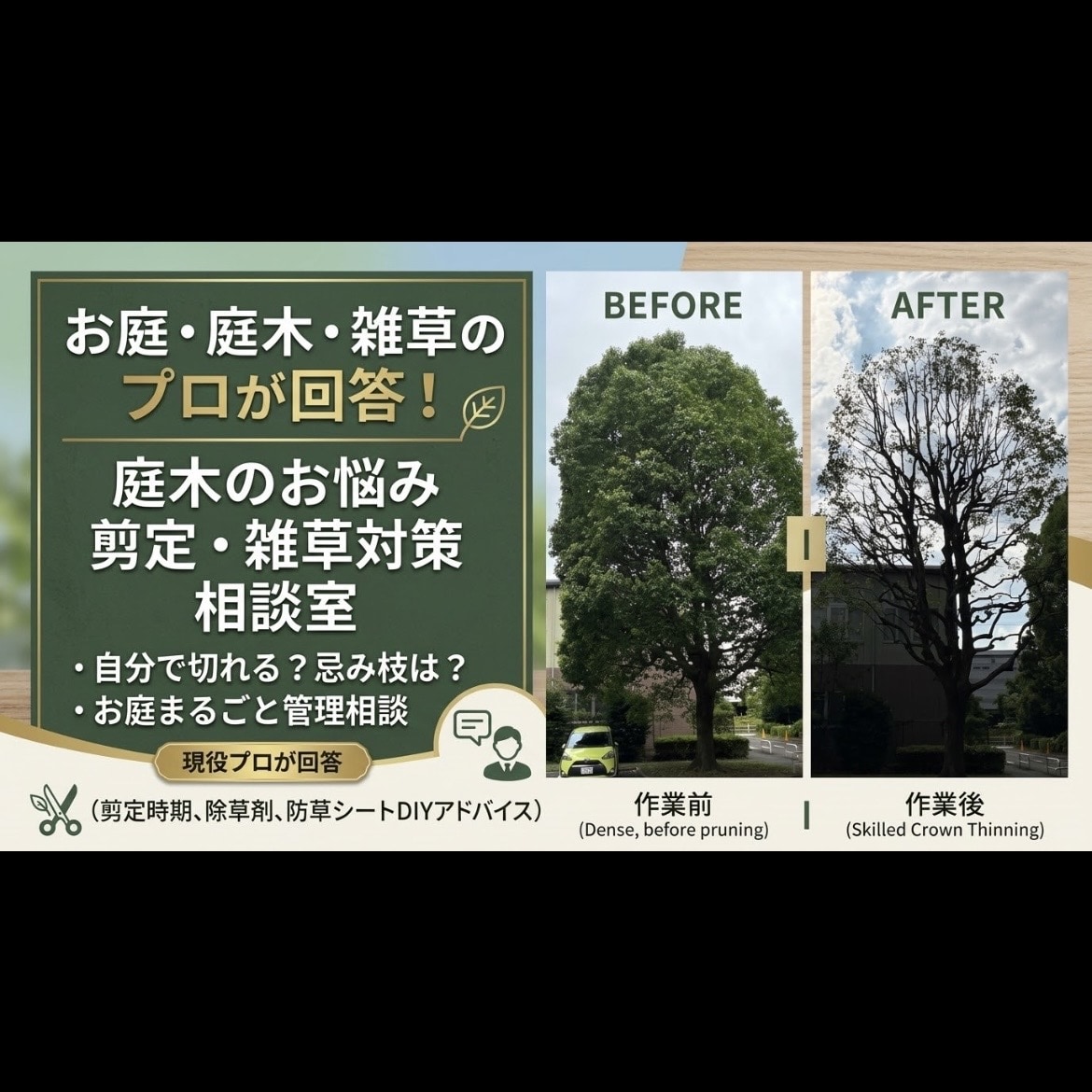 庭木・雑草の悩み解決！写真から切る枝教えます 初心者DIY歓迎！写真から現役プロが分かりやすくアドバイス イメージ1