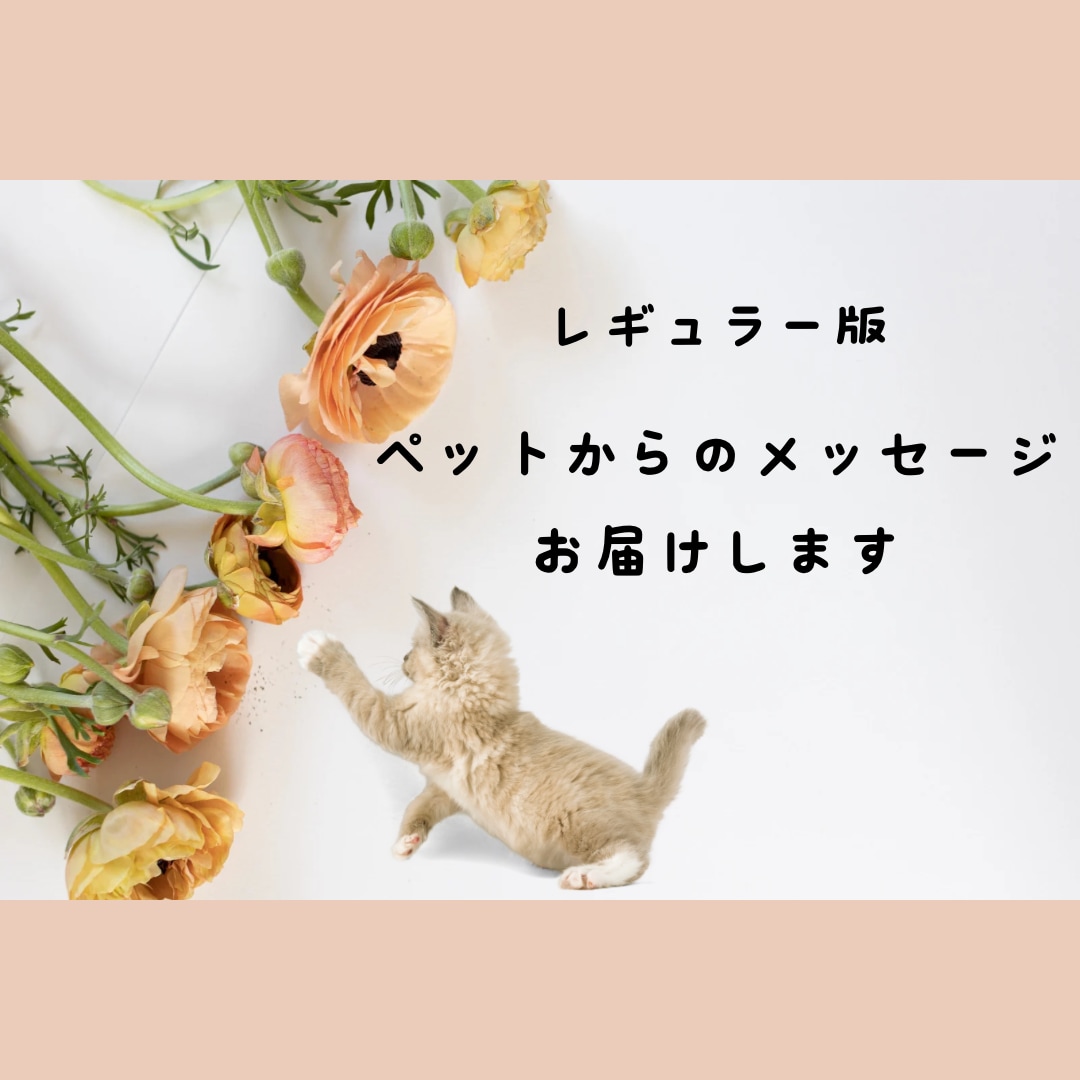 レギュラー版：ペットからのメッセージをお届けします 大事なパートナー家族である動物たちのメッセージを聞きたい方へ イメージ1