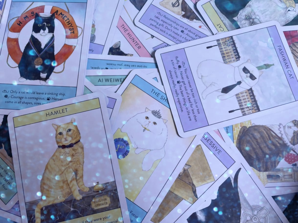 猫のオラクルカードであなたの未来を占います ふんわりゆるやかなカードであなたを導きます イメージ1