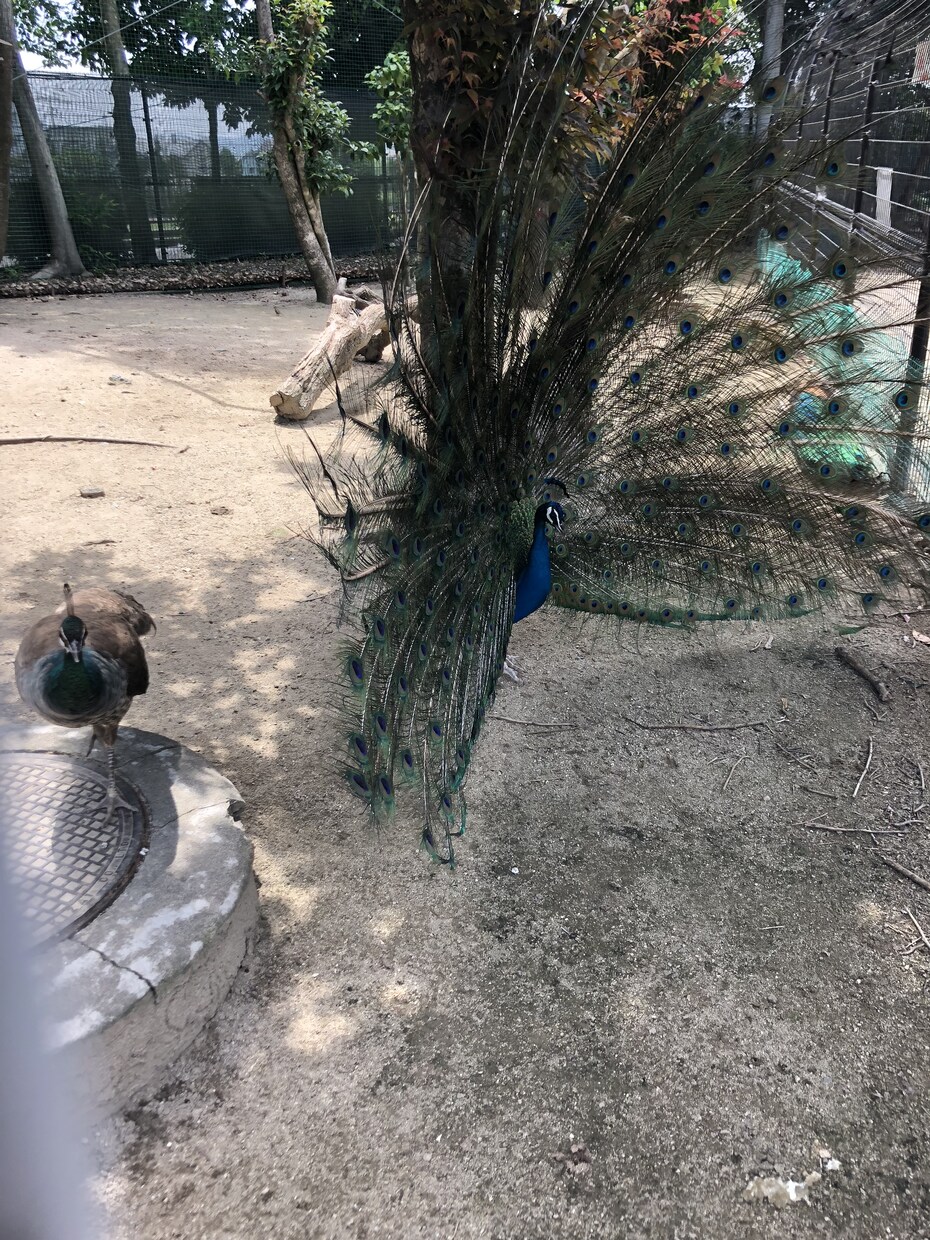 暇つぶし何時間でもお手伝いいたします とびきり暇を持て余している方へ イメージ1