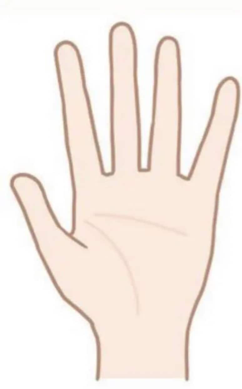 手相占いします お試しでの手相占い お気軽にお問い合わせください イメージ2