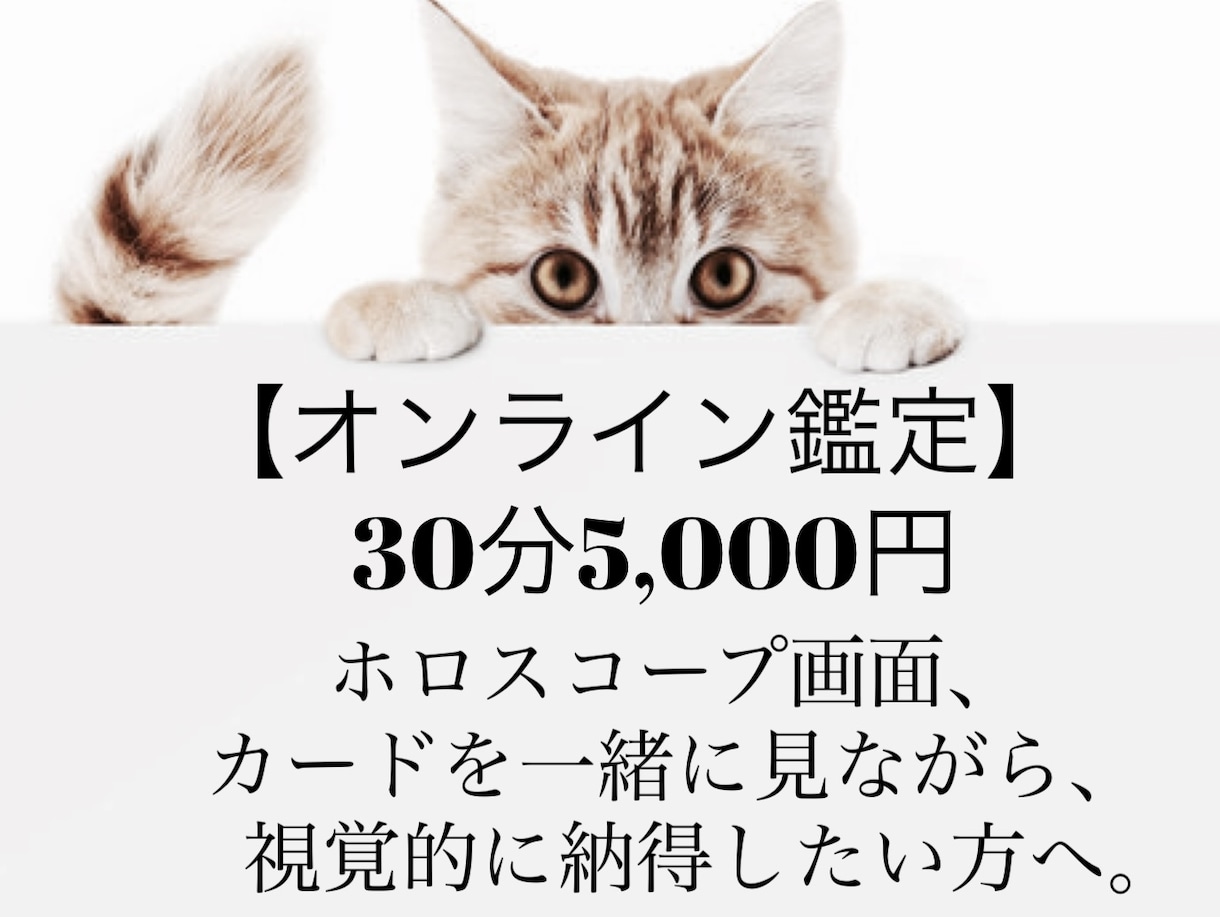 オンライン鑑定30分★才能、適職、対人占います 仕事、お金、人間関係。。モヤモヤする日々から卒業しませんか？ イメージ2