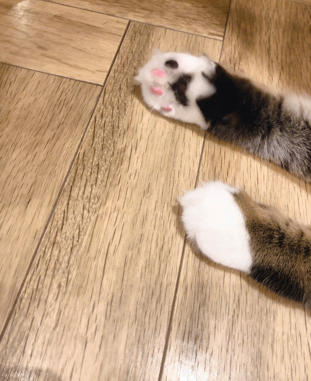 疲れた心、癒します 主に恋愛相談ですが、誰かの癒しになれたらと思います。 イメージ1