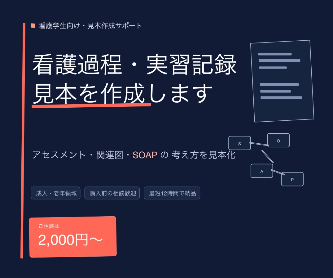 看護過程・実習記録の見本を作成します 臨床経験10年×プレ専門看護師の私が実習記録の見本を作ります イメージ1