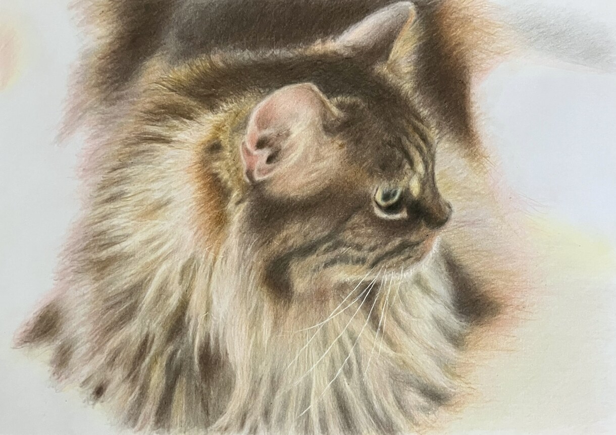 人物やペットなどリアルな色鉛筆画を描きます 色鉛筆の良さを活かして画像より綺麗でかわいい仕上がりにします イメージ2