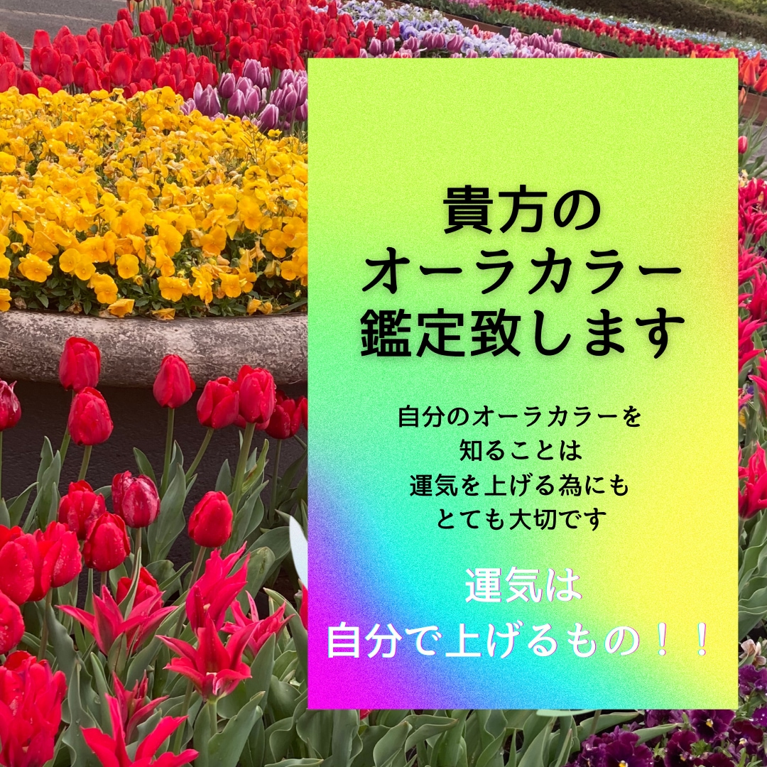貴方のオーラカラーを視ます 自分のオーラの色を知る事は幸運の近道！運気を上げるお手伝い♪ イメージ1