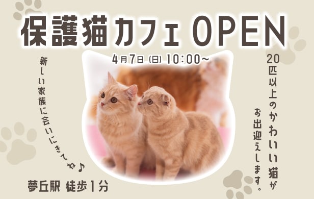 ママ・子供向けのWEB画像制作いたします 現役キッズアパレルデザイナーが作るパッと目を引くWEB画像！ イメージ9