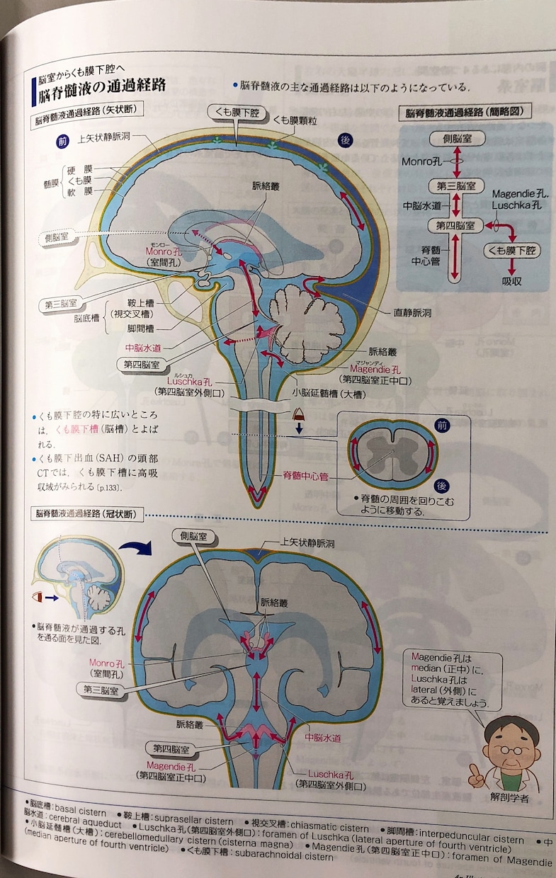看護師国家試験勉強法おしえます 救命センター看護師が国家試験前の学生さんの質問受け付けます！ イメージ2