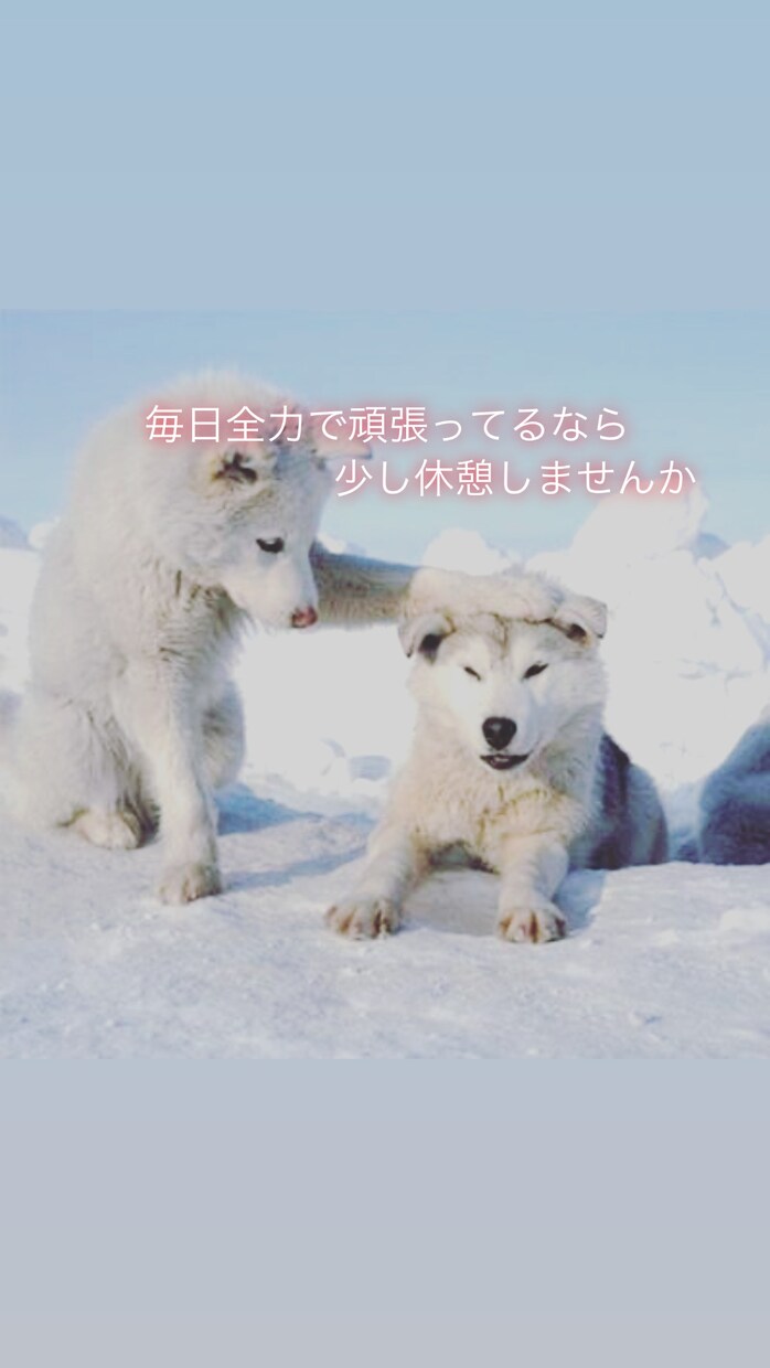 毎日お疲れ様| ᐕ)⁾⁾元気あげます ★HSPだからこそ癒せます★笑顔になーれ！ イメージ2