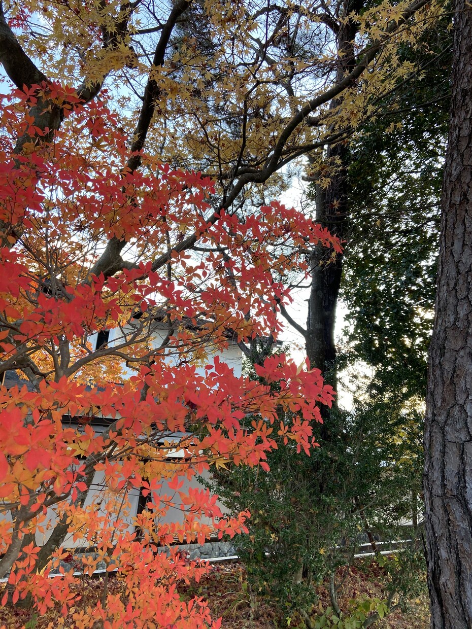 東海3県から近い旅行を計画します 旅行行きたいけど自分で調べるのが面倒な方オススメします！ イメージ1