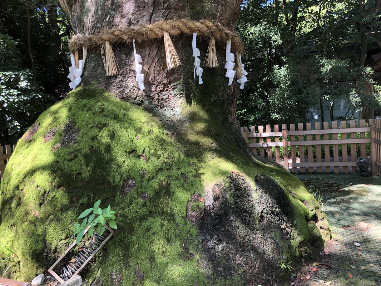 お子さんの個性と才能を輝かせる3つの要素伝えます 子どもひとりひとりの個性に合った育て方、接し方をお伝えします イメージ1