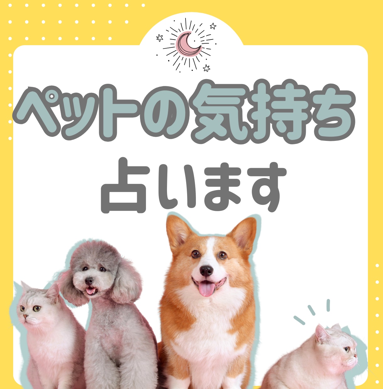 あなたのペットの心を星とカードで読みます 愛する家族の気持ちと本音を知れます イメージ1