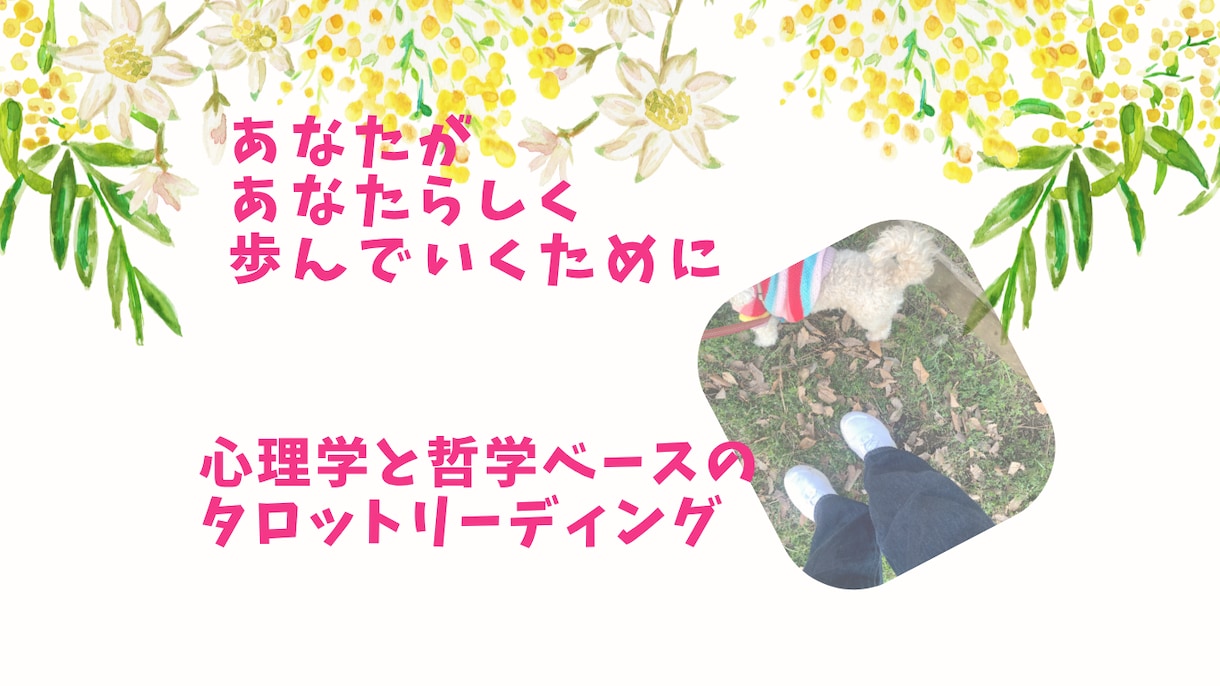 タロットで心のモヤモヤを解きほぐします モニター募集中(限定10名)＊カードで心を整えるお手伝い イメージ1