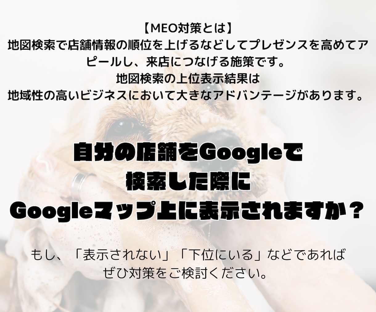 トリミングサロンやペットホテルの集客UP貢献します 【自店で実績あり】GoogleビジネスプロフィールMEO対策 イメージ3