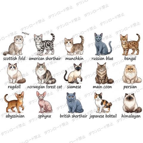 猫のイラスト1シート販売します チラシ・PR・SNS・ショップ・カード素材におすすめ イメージ2