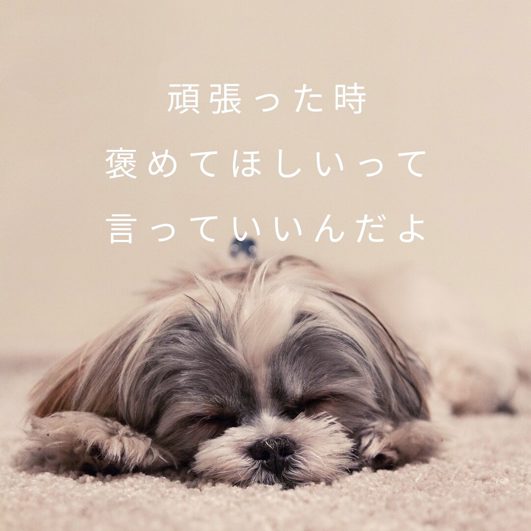 育児や仕事の愚痴を言いたい女性の味方になります ねぇ、聞いて！メンタル心理カウンセラーの私がすべて聞きます イメージ8