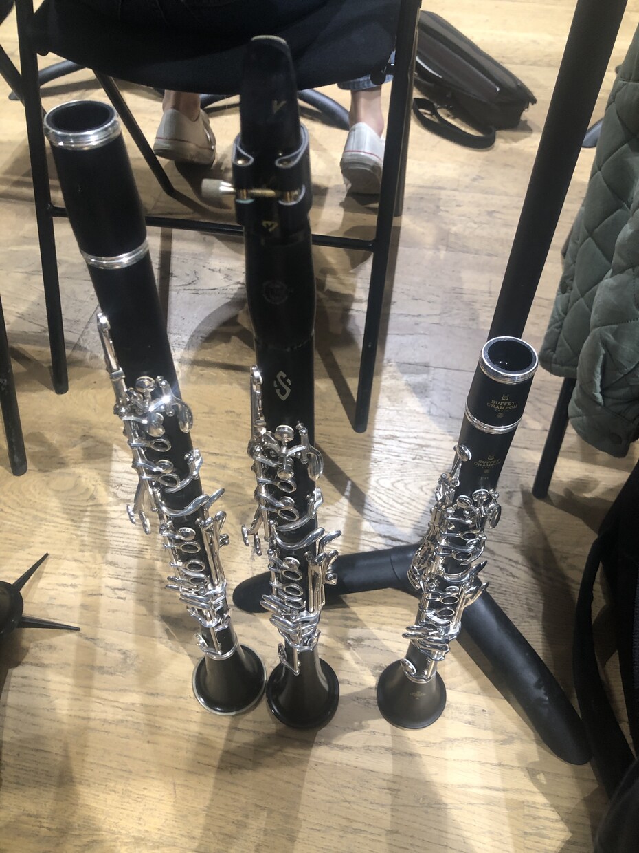 パリ音楽留学生がクラリネットのレッスンをします 音楽がもっと楽しくなるような丁寧なレッスンを目指しています。 イメージ1