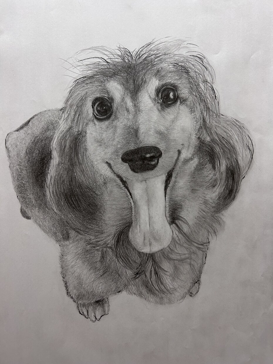 鉛筆でお犬さんを描きます お犬さんの思い出の写真を鉛筆画にいたします。 イメージ4