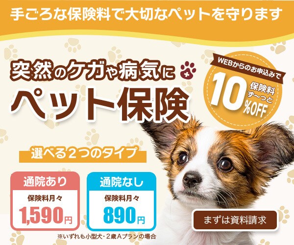 頼んで良かった！そんなバナー/ヘッダー制作します バナー/ヘッダー/サムネイル/SNS画像/２案提案 イメージ3