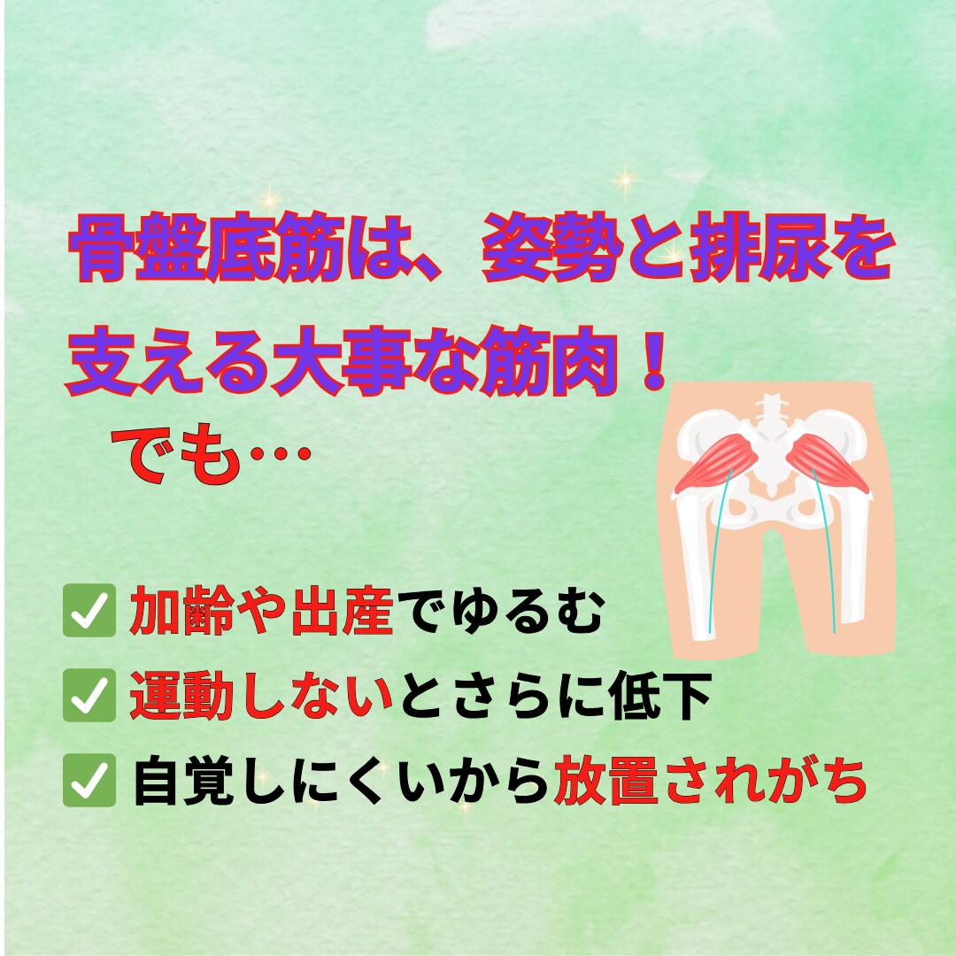 尿もれ・ぽっこりお腹を卒業します 看護師監修！自宅でできる50代からの骨盤ケア イメージ3