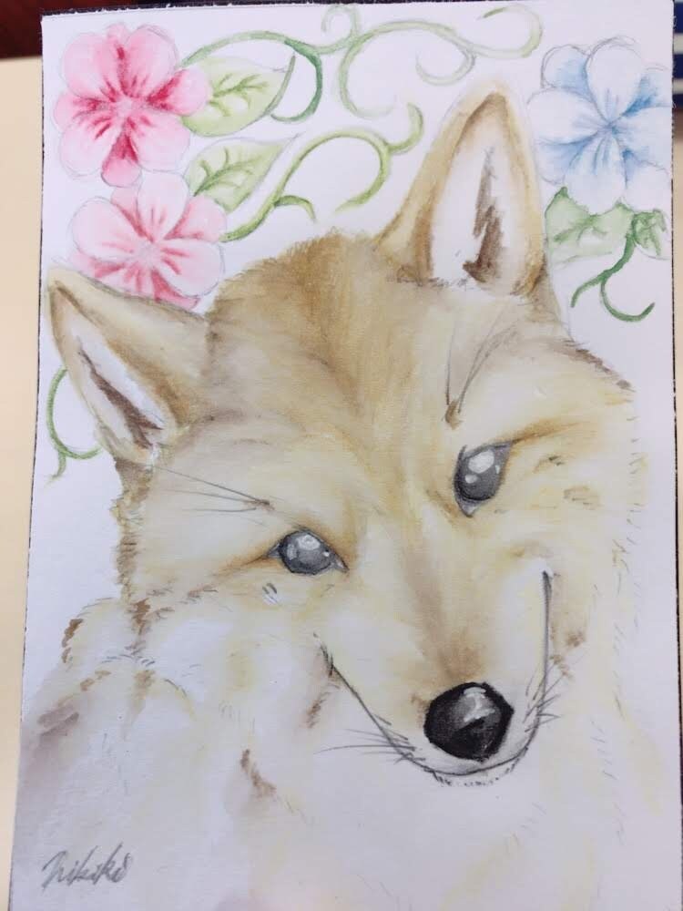 貴方のペットの似顔絵を繊細に描き郵送致します ハガキサイズなので写真立てに入れて飾れます イメージ2