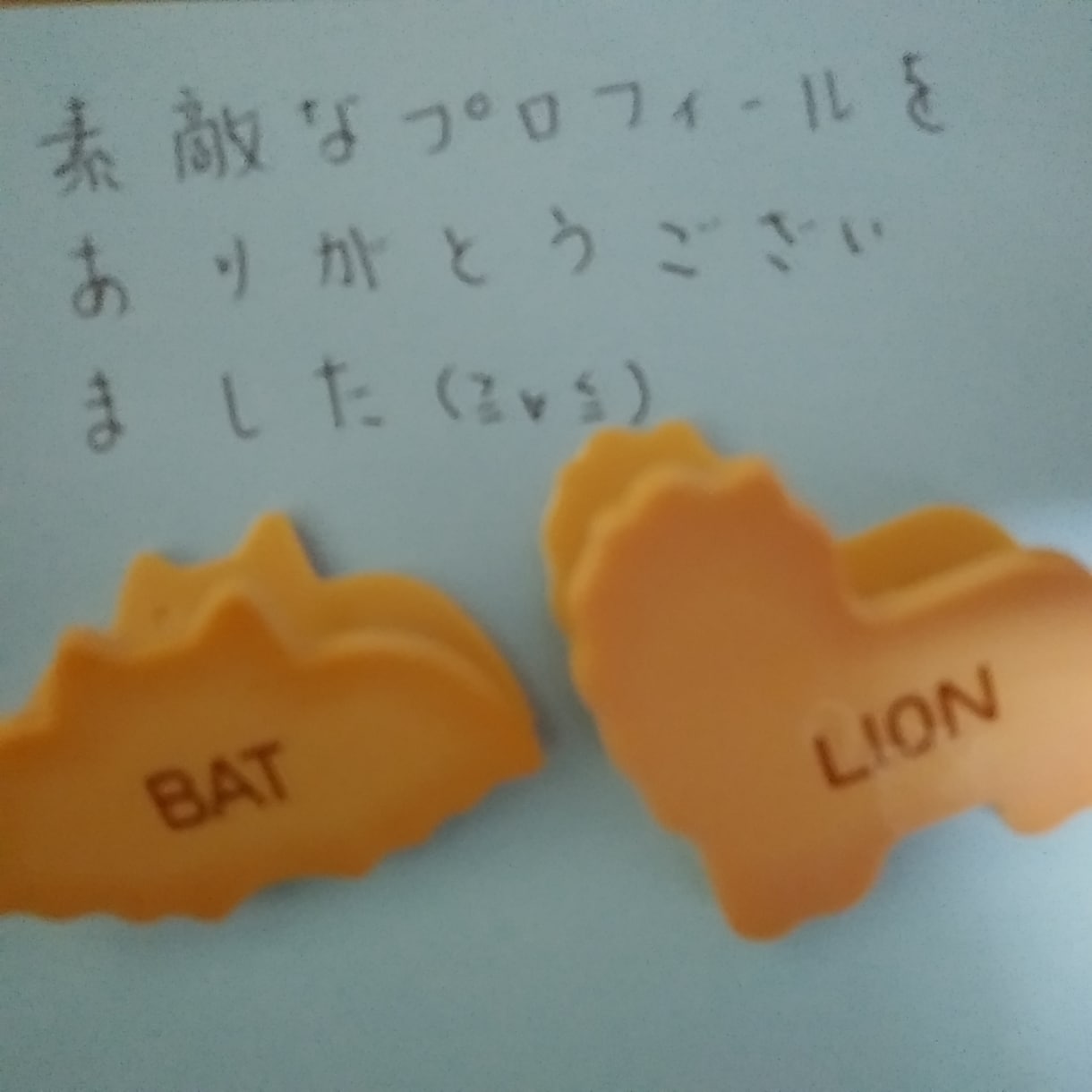 マッチングアプリ結婚相談所のプロフィール作成します 〜気に入らなければ返金保証！あなたの良さを引き出します〜 イメージ4
