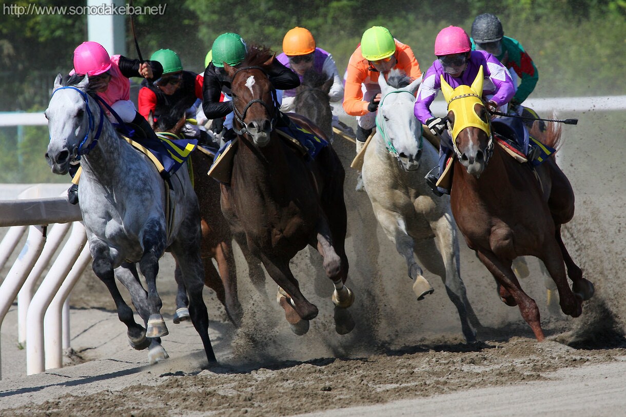 園田競馬予想☆小頭数で的中目指します オッズ無視の人気に左右されない予想をしています☆ イメージ1