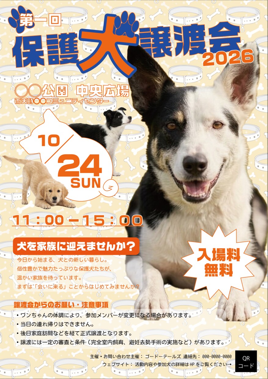 限定3名様モニター価格！チラシのデザインをします 安価で高品質、見やすいデザインを提供します イメージ6