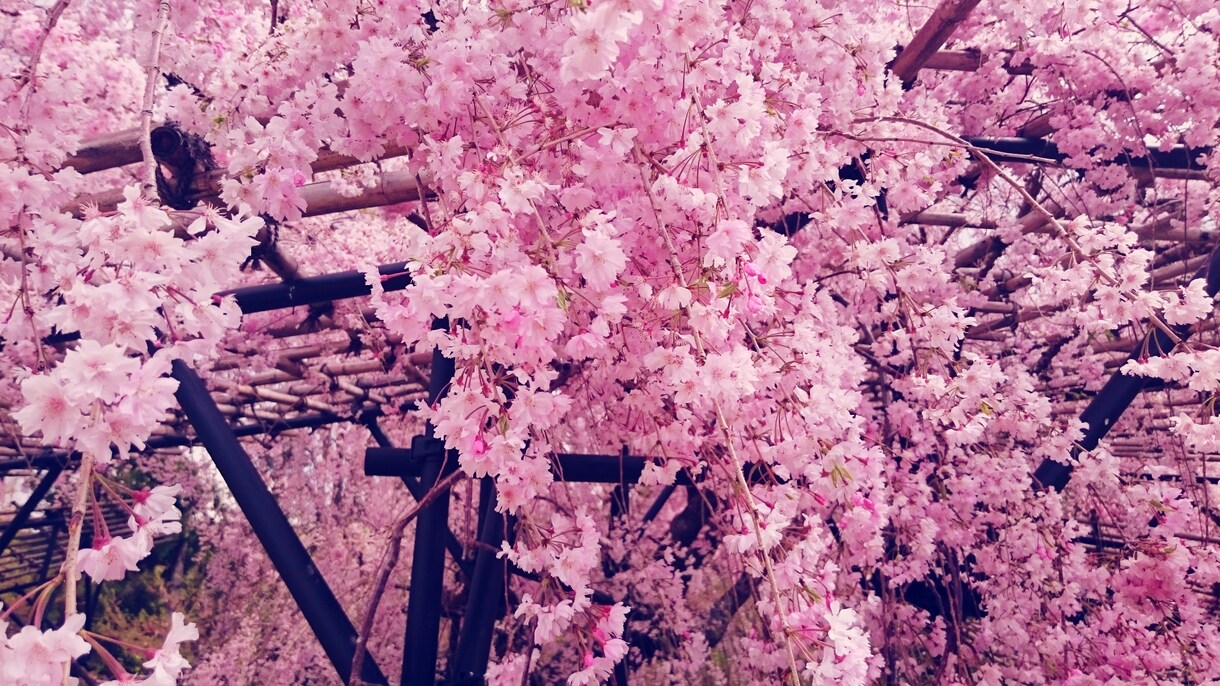 新卒就職活動をサポートします なりたい自分と行きたい企業のマッチング度を高めます！ イメージ1