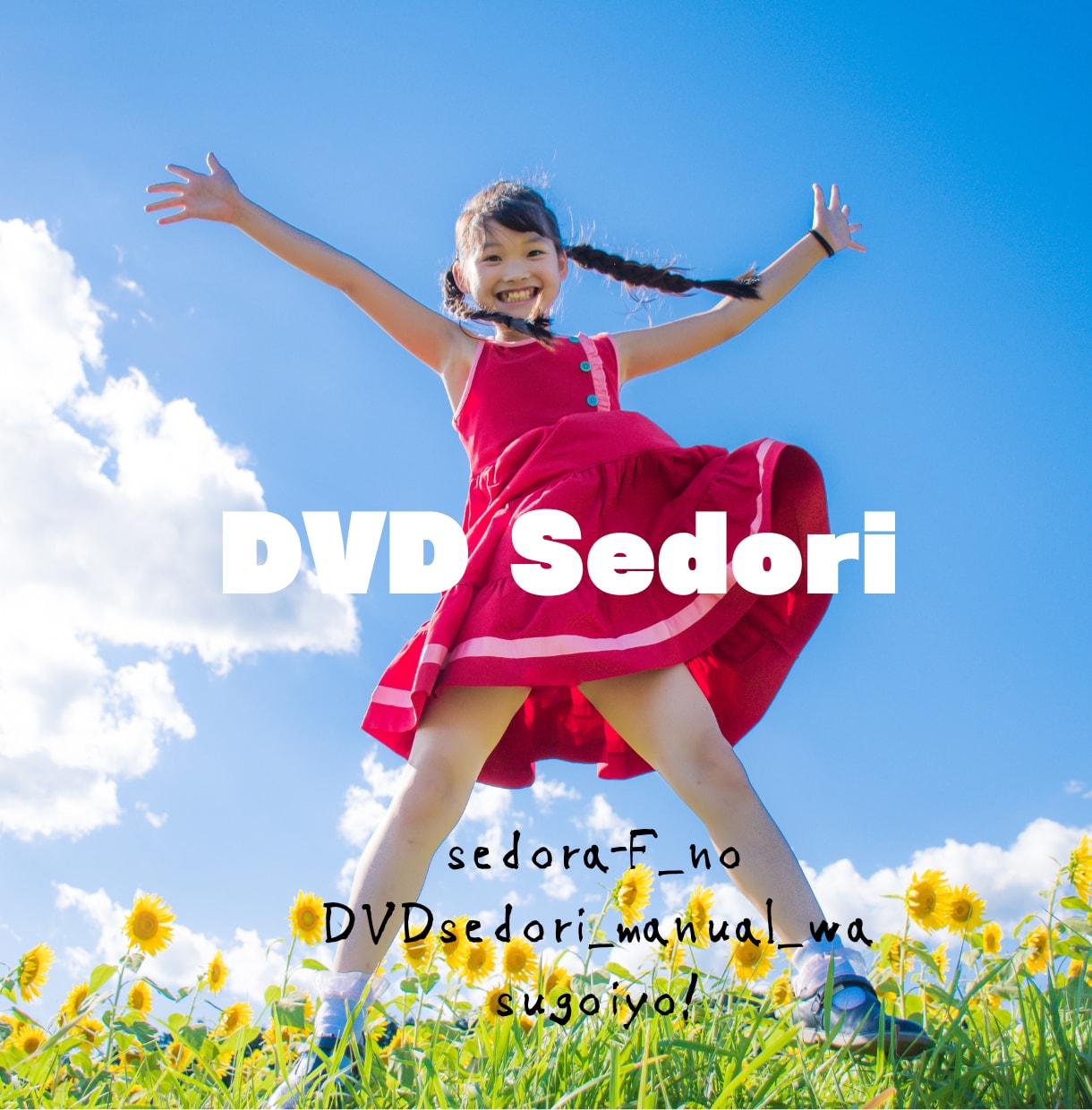 副業☆初心者OK!「●●DVDせどり」お教えします メルカリ対応！せどらーF開発のDVD販売をしてみませんか？ イメージ1