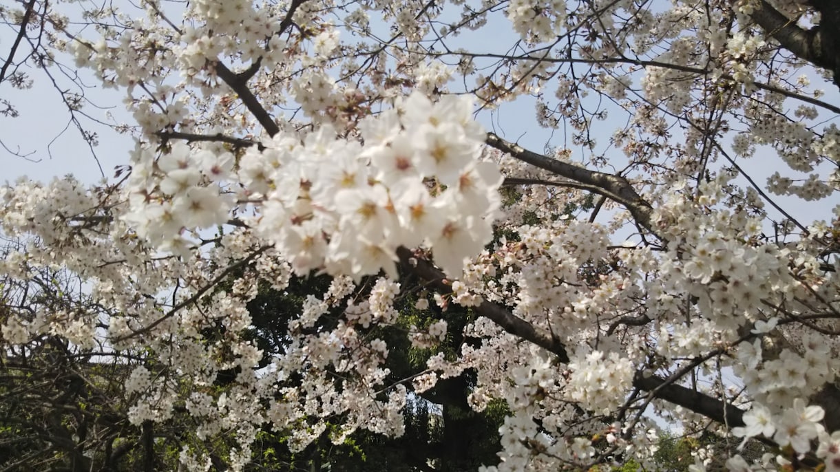 お悩み伺います (介護士や介護しているご家族の方々へ) イメージ1