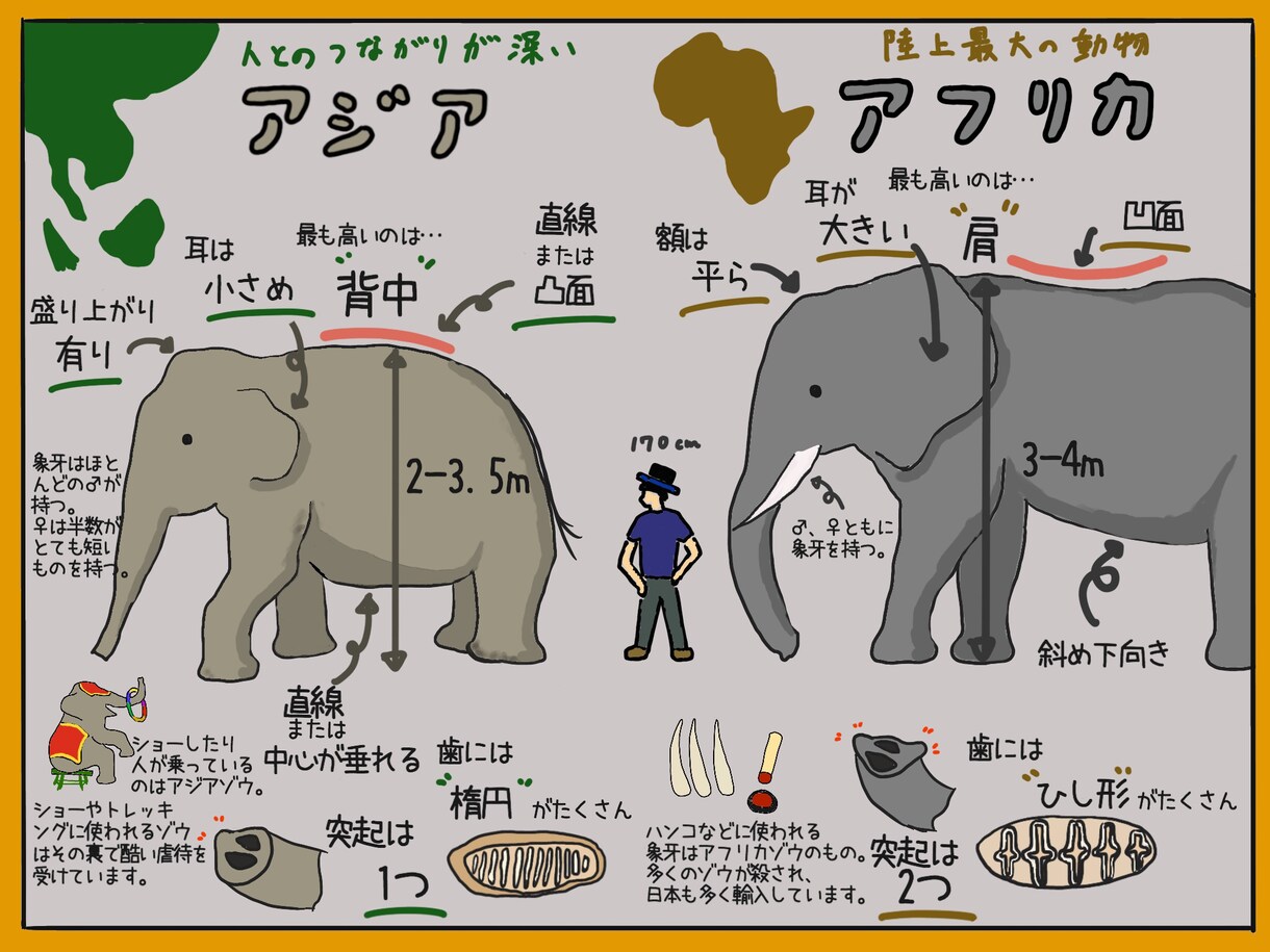 イラストも可！パワポでスライド・資料作ります パッと見て分かりやすいスライドをイラスト付きで イメージ9