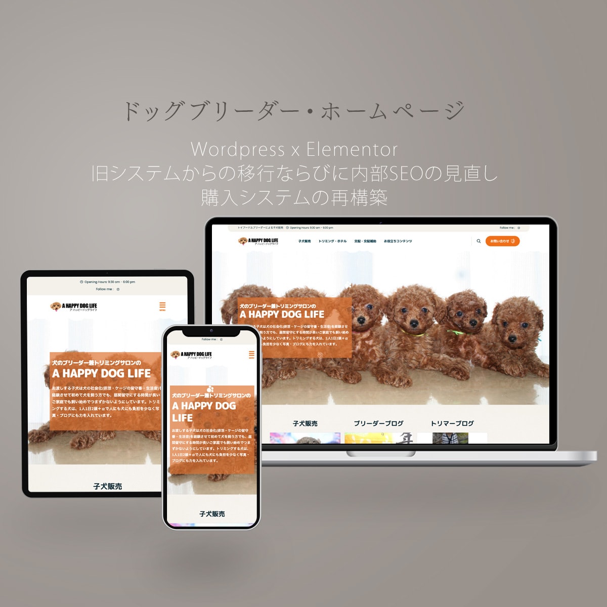 WordPressで信頼感あるHPを制作します 構成設計＋内部SEOまで一式対応。伝わる情報設計で整えます イメージ2