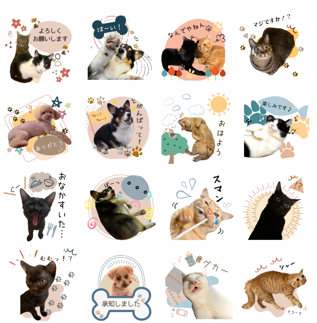 ペットやお子さまの可愛いLINEスタンプ作成します ★普段の家族のお写真をうちの子LINEスタンプに★ イメージ3