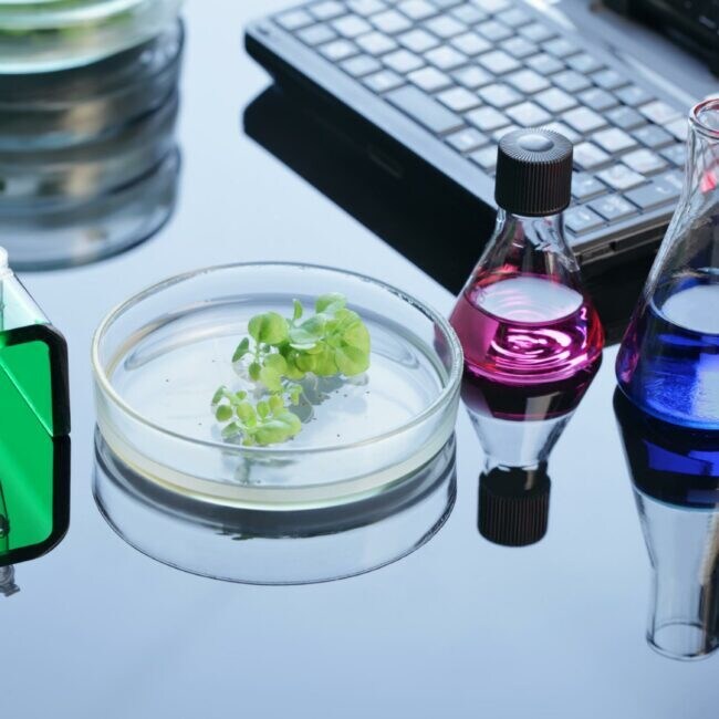 医学部卒が医療系、生物系大学院の試験対策します 医療系学部の基礎医学、定期テスト、大学院、国試対策を致します イメージ1