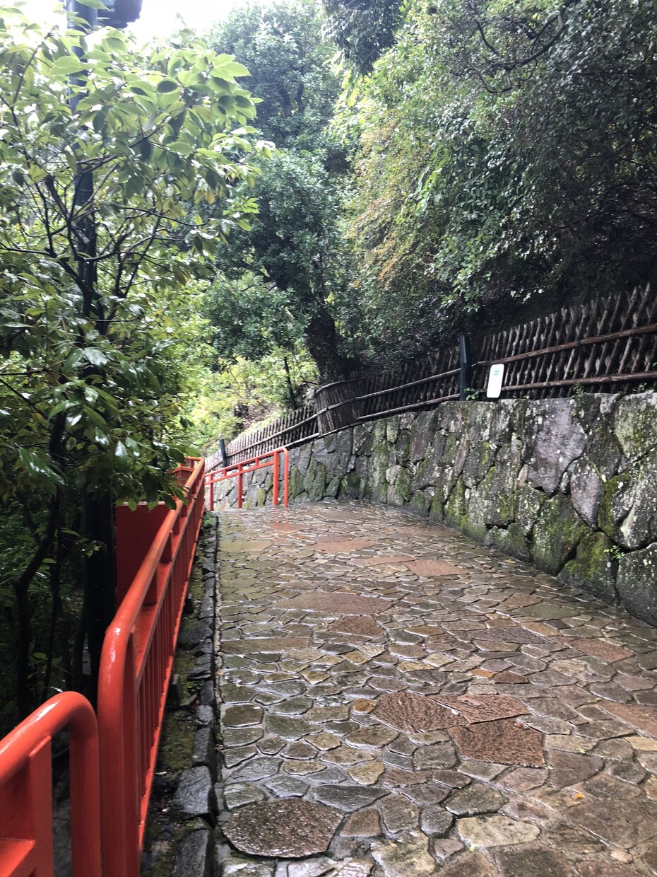 選択に迷ったら、お悩みの問題を梅花心易で占います 最善策を考え尽くしたけれど、一歩踏み出す決めてが欲しい時に イメージ3