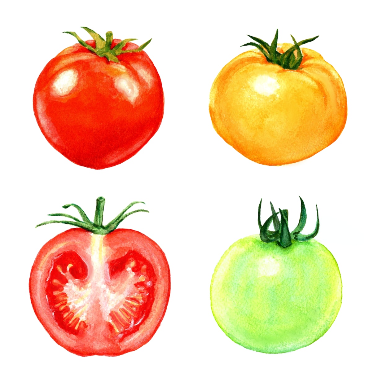 水彩画で野菜・果物などの食べ物イラストを描きます 〜丁寧なヒアリング〜 温かく優しいタッチが得意です♪ イメージ2