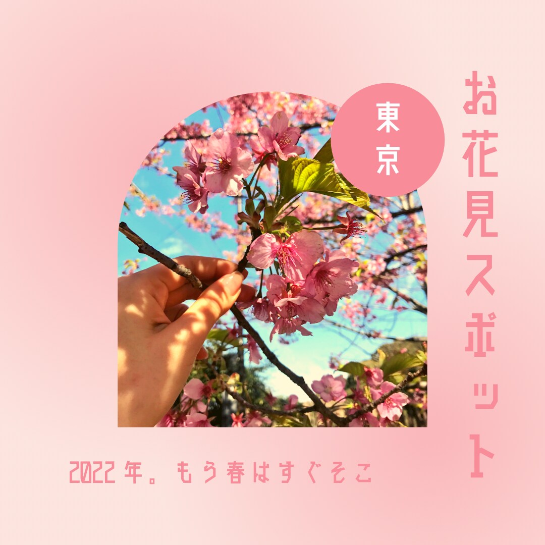 各種バナーInstagram投稿画像作成いたします 思わず目に留まる画像でイメージ戦略！ イメージ6