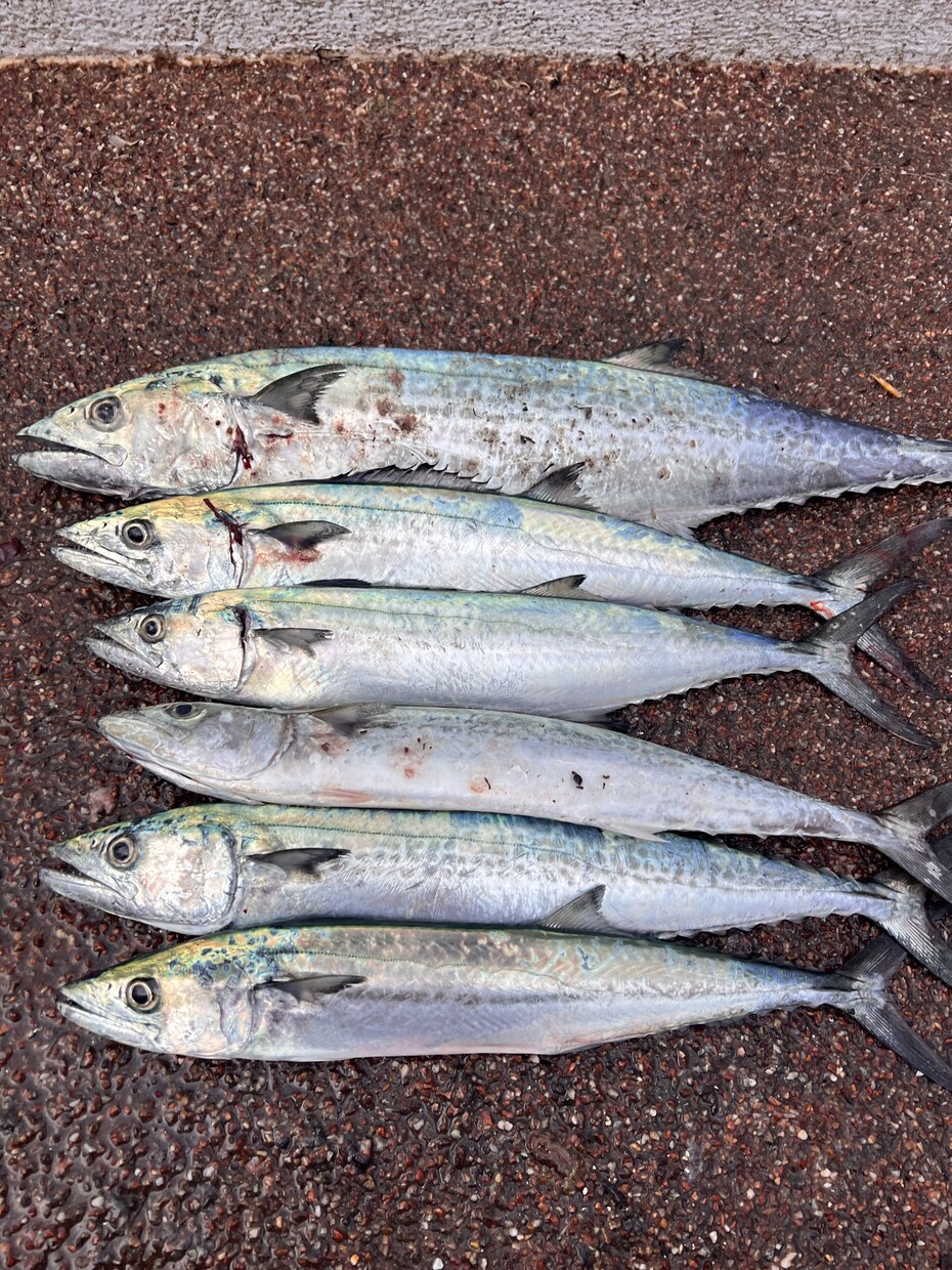 完全初心者向け！初めての釣具購入リスト作成します 釣り歴20年の私があなたに合った釣具をリストアップします！ イメージ3