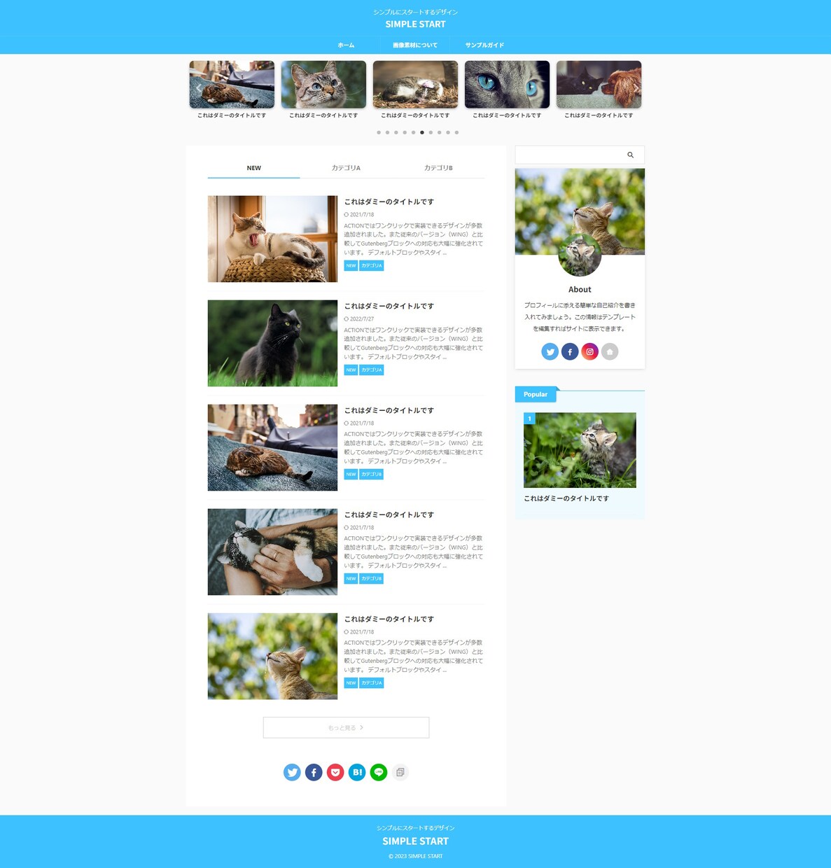 WordpressでBLOGを開設します ブログを始めたい人に最適！後は記事を入れるだけ！ イメージ4